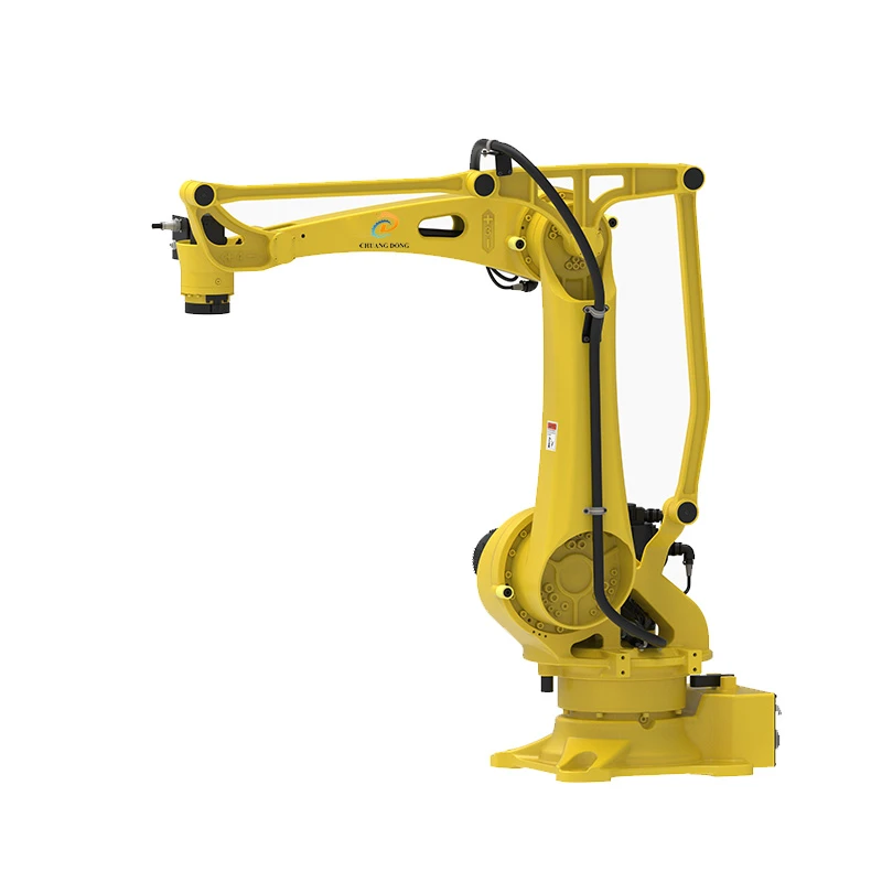 CD1060M-2100 versatile palletizing robot